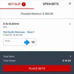 bovada bet slip